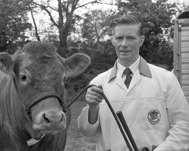 Pictured at the end of May 1992 at the Newry Show is Robert Campbell from Templepatrick. He is pictured with the Limousin champion at the show. Picture: Farming Life archives/Darryl Armitage