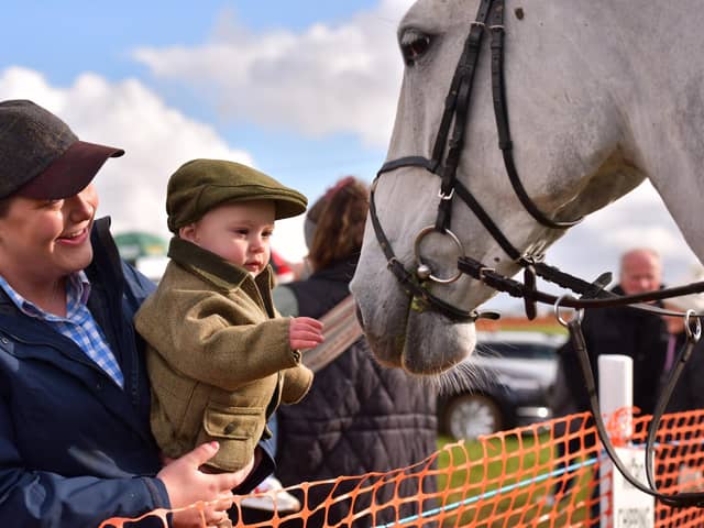 Harry and his mummy saying hello to daddy's horse. Picture: Submitted
