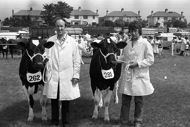 Mr Fred Duncan of Crumlin, and his son Robert, with the Friesian champion and reserve at the Ballymena Show in June 1982. Picture: Farming Life/News Letter archives