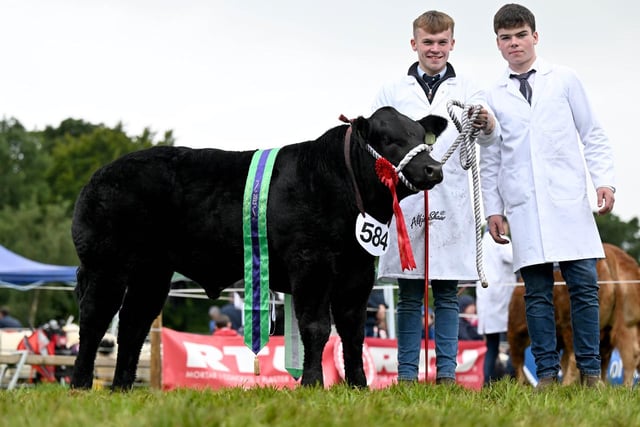 The commercial Limousin champion was Zeus, a 2023-born steer exhibited by Fergal and Foncey Gormley from Claudy. Picture: Kathryn Shaw, Agri-Images