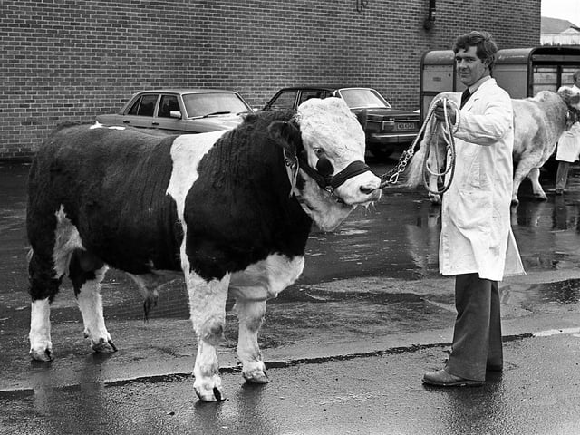 This collection of old photos is from 1981.