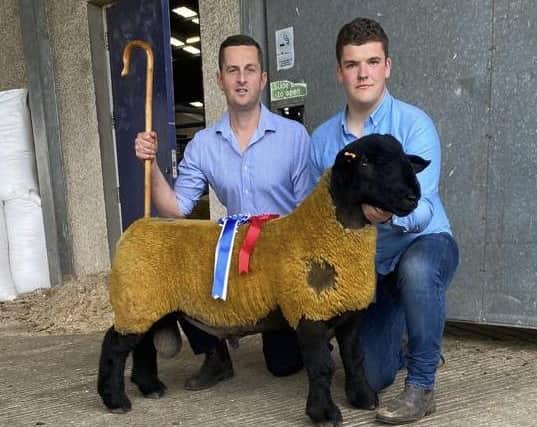 1st Prize Ram Lamb & Reserve Champion from Samantha  & Allen Short selling for 1650gns to G Pearson, Randalstown.