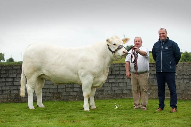 A special thanks is given from Vice Chairman of the NICC, Harry Heron to Bank of Ireland representative Richard Primrose for their continued support of the NI Charolais Club National Show. Pic: Charolais Club