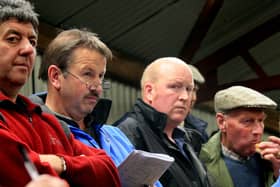 Bidders at the Ayrshire sale at Kilrea in September 2008. Picture: Kevin McAuley