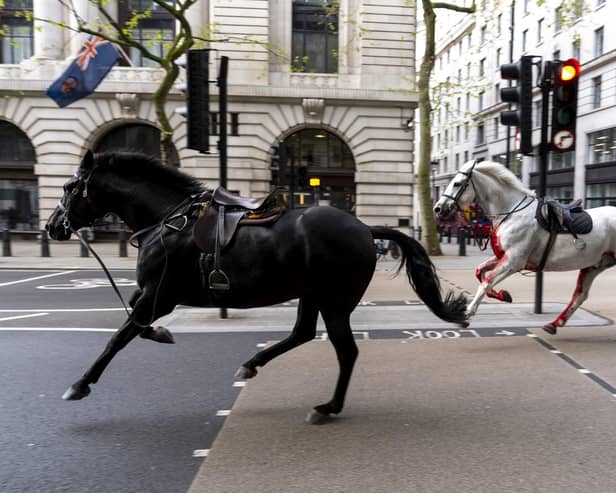 Two horses on the loose bolt through the streets of London near Aldwych. (Photo: Jordan Pettitt/PA Wire)
