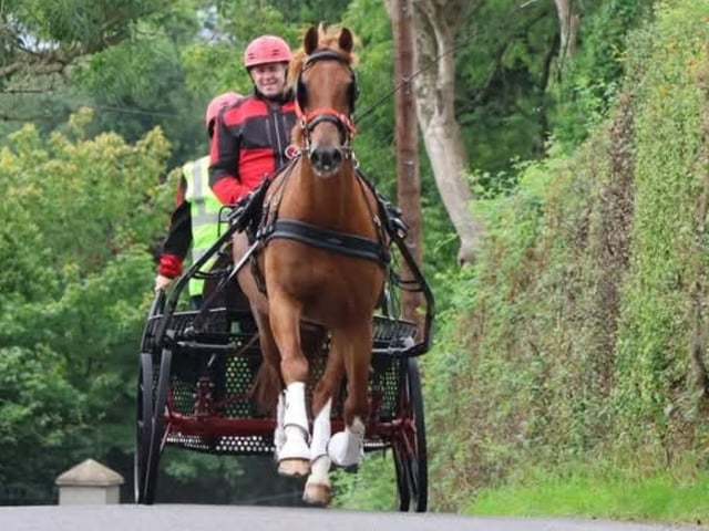 Husband & wife team Jeffrey and Victoria Lyons with Astor flying around the 3km road section