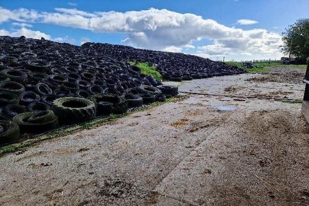 Targeted environmental measures on the Waterford dairy farm are helping reduce runoff and protect the River Licky catchment.