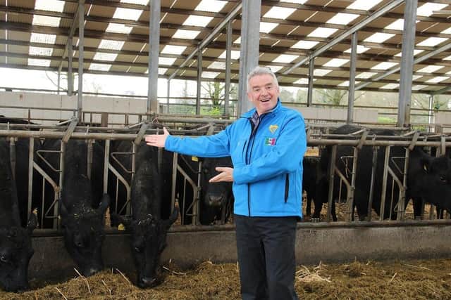 Ryanair CEO Michael O’Leary has launched the 2024 Gigginstown House Angus bull sale.