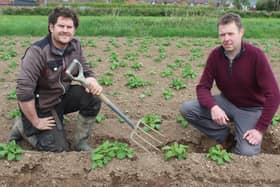 Discussing the prospects for first early potato crops in 2024: Paul Hamilton, of Cherryvalley Farm and Wilson's Country agronomist, Stuart Meredith (right)