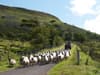 National Hill Sheep conference to take place this week at Glendalough Hotel, Brockagh, Glendalough, Co Wicklow