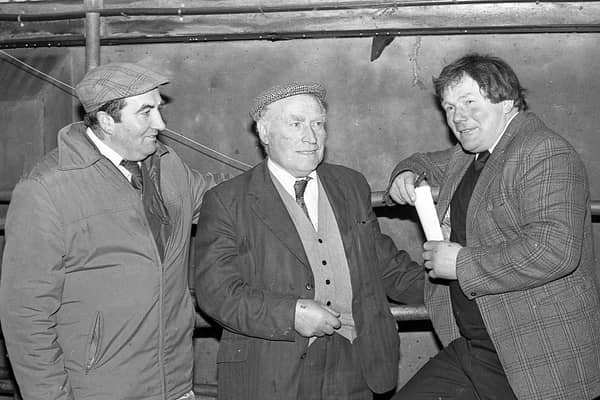 Watching the judging at the Ulster Ayrshire Cattle Club’s show and sale at Ballyclare Mart in March are Brian King, secretary, Ballymena, Jack Liggett, Tandragee, and James Getty, Kells, club chairman. Picture: Farming Life/News Letter archives