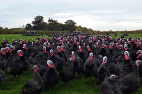 From 1st - 7th November, Pumpkin Feast Day will see participating turkey farms welcome Halloween pumpkins, giving them a new purpose rather than letting them go to waste. Farmers up and down the country are getting involved, with local farms in Essex, Devon, Kent, Warwickshire, Cornwall, and Bedfordshire inviting visitors to bring their squashes down.