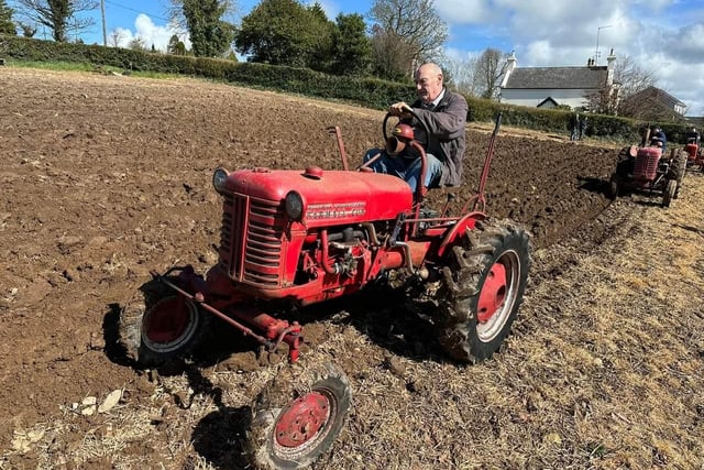 Ernie Mathers shows them how it's done at the vintage ploughing at Ballydown last Saturday