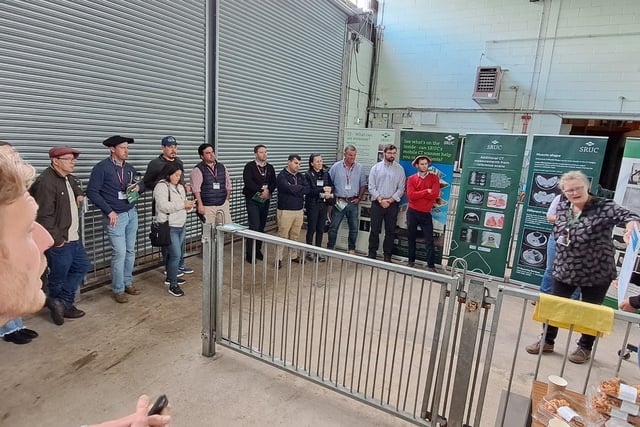 International breeders reflect on trip to the British Texel 50th ...