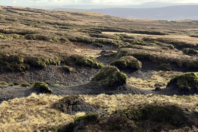Eroded area of bare peat on Slievenanee where the wool logs will be used.