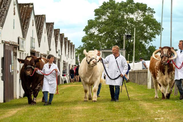 Cattle exhibitors at the Great Yorkshire Show