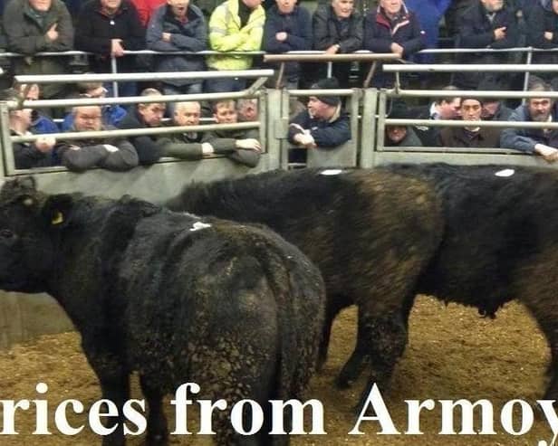 Armoy Mart