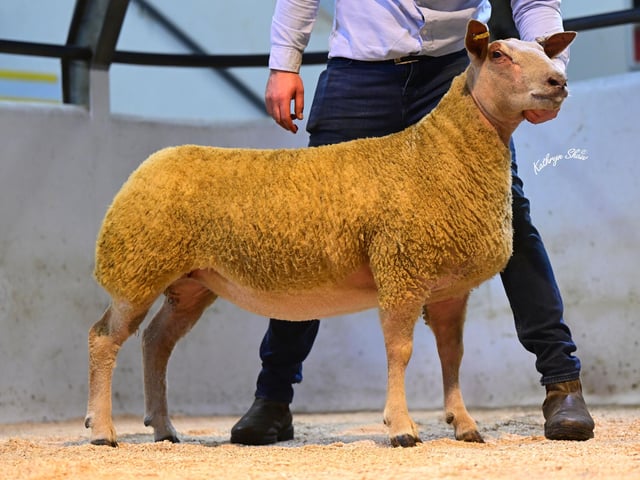 Lot 77 Selling to Richard Powell