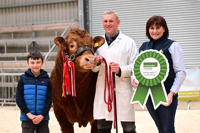 Sponsor Diane Henry congratulates Michael and Kian McKeefry, Garvagh, on winning the supreme overall championship and securing a top bid of 8,000gns. Picture: Agri-Images