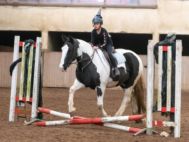 Eva Bennett and Barney jump into 2nd place over the cross poles. (Pic: Equi-Tog)