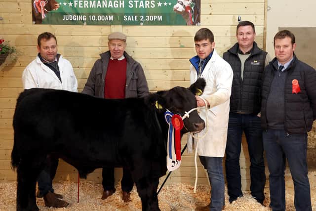 Alan, Edwin and James Morrison, with their Reserve Native Champion, at Fermanagh Breeders Show and Sale. Also included are Seamus Nagle, Bull Bank, Sponsor and Gary McKiernan, Judge.