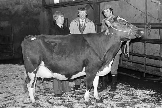 Pictured in March 1983 at the Ulster Ayrshire Cattle Club’s show and sale at Ballyclare Mart in March are auctioneers Tom Symington and judge William Stevenson from Scotland. They are pictured with John Hunter of Crumlin, with the supreme champion. Picture: Farming Life/News Letter archives