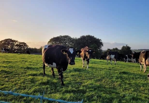 Speaking ahead of the Winter Fair, Dr Mike Johnston said the agri-sector needs to 'move now and with pace' in order to meet the demands of legislation and the needs of customers, and to catch up with many of its competitors.
