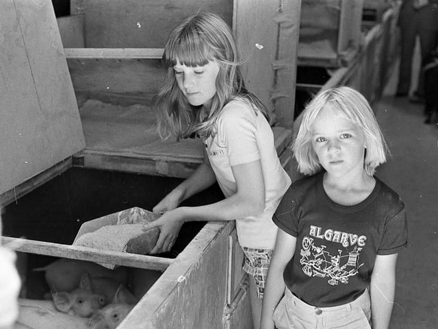 This collection of old photos is from 1981.