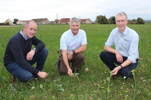 Assessing the cover crops grown this year by the Bardet family, who farm near the French city of Auxerre. L-R: Neill Patterson, Co. Down; Karl Cope, Co. Carlow and Damien Fewer, Kildalton College
