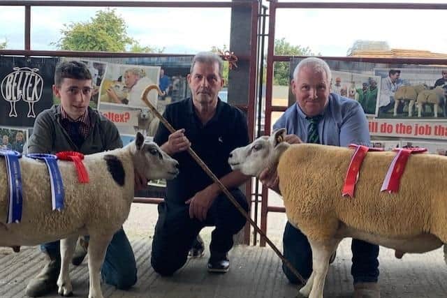 Eddie O’Neill with his shearling ram who was Overall Champion at the Ballymena Show and Sale and sold to the top price at 640gns, pictured with Judge Norman Wallace and Kile Diamond who had Reserve Male.