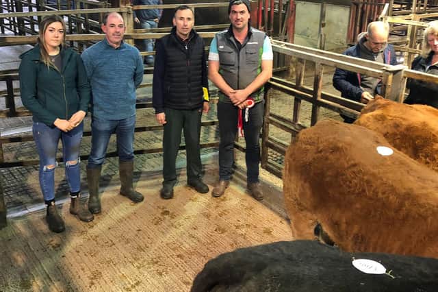 Clogher: Limousin suckled calf prize winners pictured with judge Kieran McCrory. 
