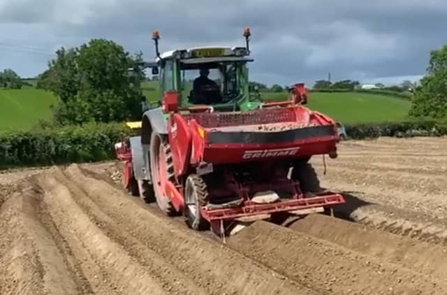 This video shows AB Potatoes working in the fields at Glasker last week. Picture: Kenneth Brown
