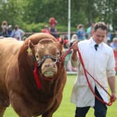 It's hard to believe that the 2023 Balmoral Show is done and dusted. Picture: Joanne Knox