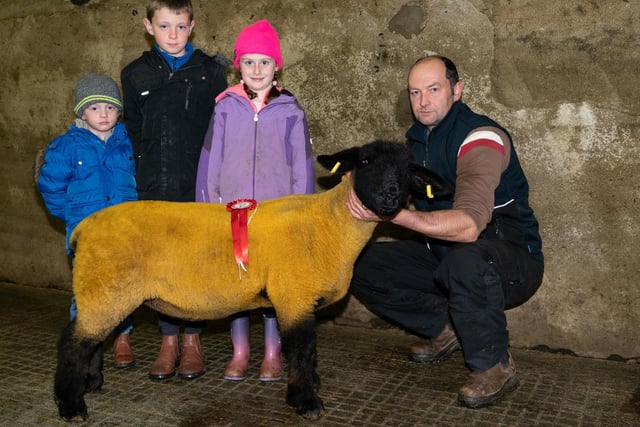 David, James and Islagh and Robert Thornton 1st in the Ewe Lamb class  at the Donegal Pedigree Suffolk Breeders Show and Sale in Raphoe Livestock Mart. Photo Clive Wasson