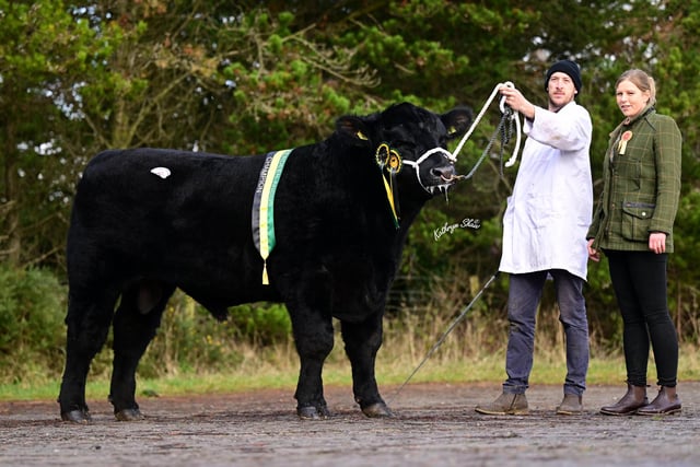 Fintan Keown exhibited the supreme champion Home Farm Erne Y802 sold for 2,900gns. Included is Scottish judge Emma Hodge. Picture: Kathryn Shaw, Agri-Images