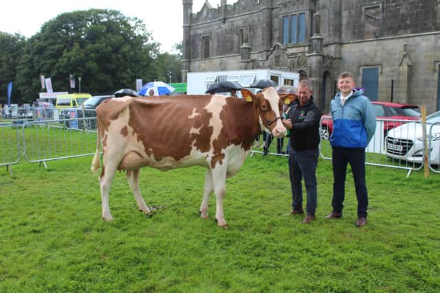 The Dairy Inter-Breed Champion at Fermanagh Show 2023. Pic: Richard Halleron