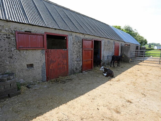 "Laureldeane", 37 Kilrea Road Garvagh, BT51 5LR 4 Bed Detached House with Small Holding