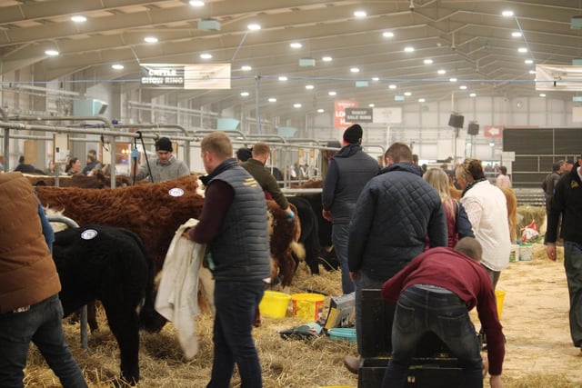 The Royal Ulster Premier Beef & Lamb Championships return to the Eikon Exhibition Centre, Balmoral Park, on Tuesday 28 November 2023.