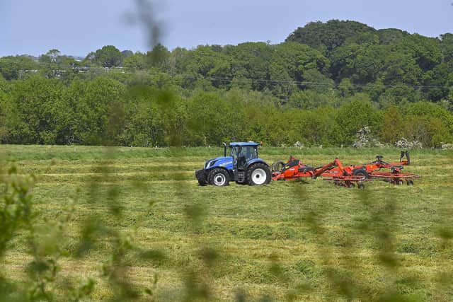 Northern Ireland is still enjoying good weather. The warm weather will continue in Northern Ireland through the rest of the working week though temperatures will drop slightly and will be closer to the low 20s inland, and the high teens in coastal areas with onshore breezes. Picture By: Arthur Allison/Pacemaker Press.
