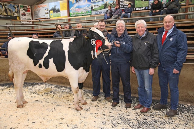 Champion was the 4,000gns Prehen Elver PLI £376 shown by Stuart Smith and Andrew Moore. Included are Ian Watson, judge; and sponsor Gareth Bell, Genus ABS. Picture: John McIlrath