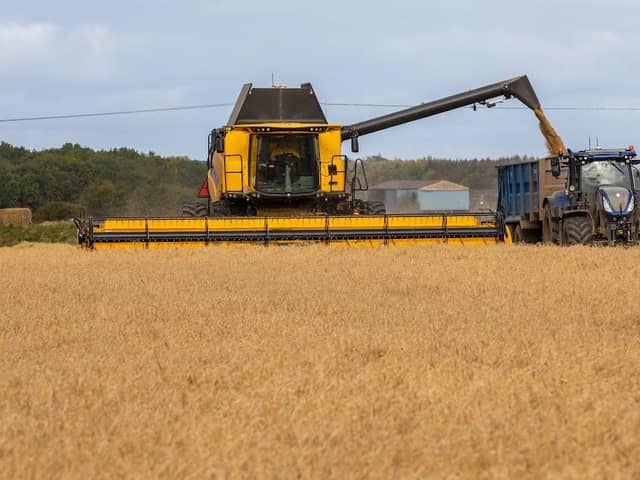 Combining barley