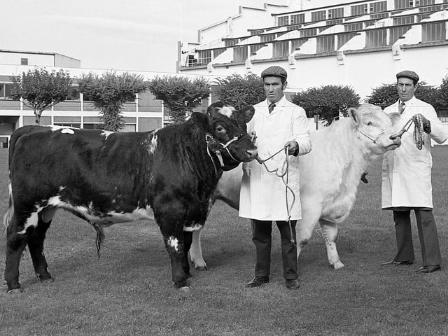 This collection of old photos is from 1981. Have a look and see who you might be able to spot in our collection of photos.