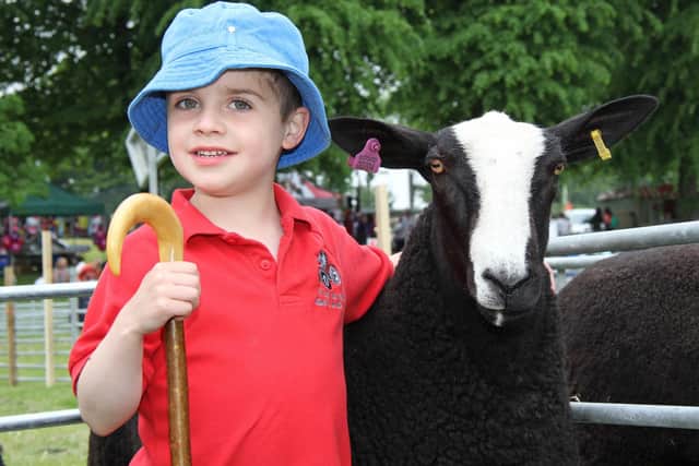 James Hare, Dromore, is pictured with the reserve Zwartble champion at Lurgan Show in 2016. Picture: Julie Hazelton