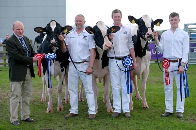 Reserve Dairy interbreed group of three shown. by Martin Millar, David Simpson and Mark Henry.  Included is James Black, John Thompson and Sons, sponsor.  Photograph: Columba O’Hare/ Newry.ie