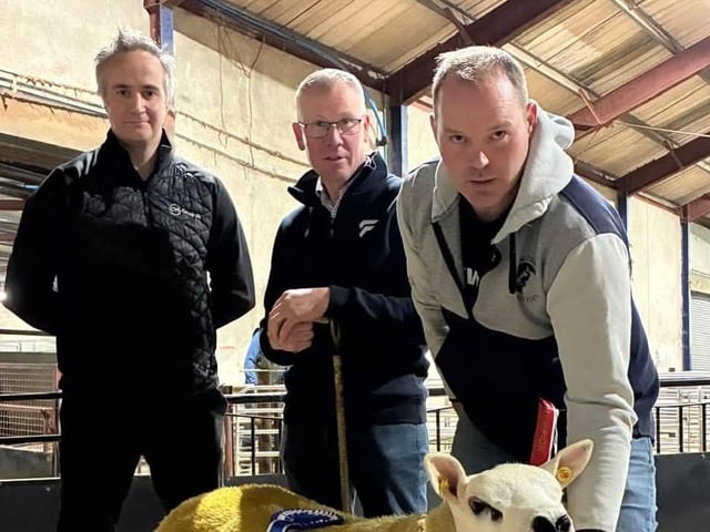 Alan Glendinning, Lylehill Flock accepts the Reserve Champion rosette form judge Jonathon McKinney and sponsor Mike Reynolds, CVS Vets at Draperstown Show & Sale of pedigree Texel sheep.