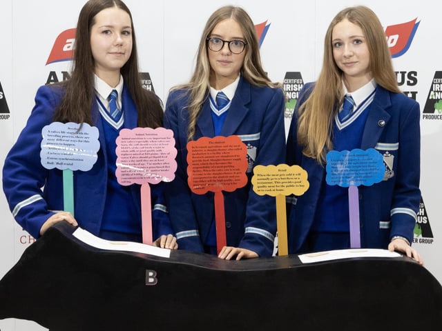 Pictured taking part in the 2024 ABP Angus Youth Challenge Exhibition for a place in the final of the competition is the team from Assumption Grammar School Ballynahinch Co. Down - pupils Clodagh Crawford, Anna Monan and Cara Collins.