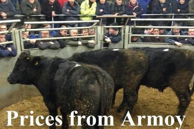 Armoy Mart