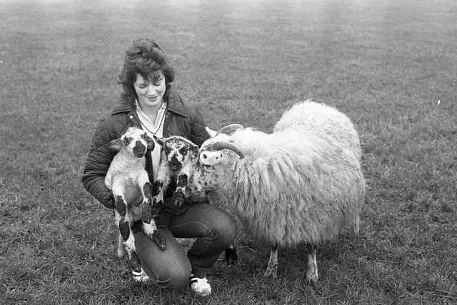 Pictured in January 1983 is Miss Joy Gilliland, clerical officer at Greenmount Agricultural College with a sturdy set of twin lambs ay the college farm. Picture: Farming Life/News Letter archives