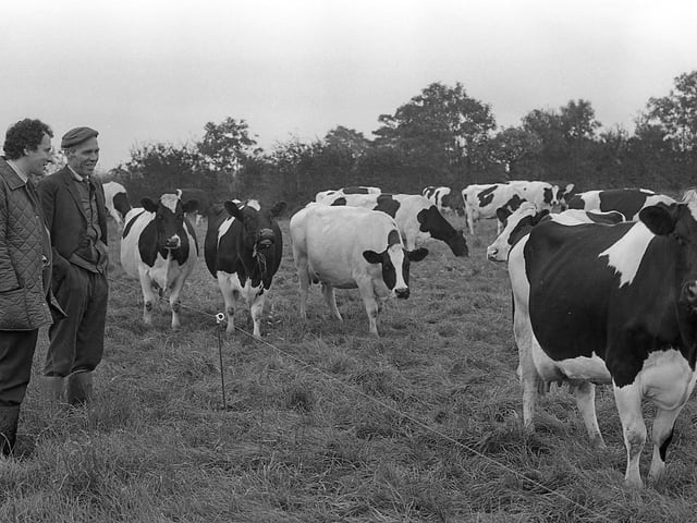 This collection of old photos is from 1981.