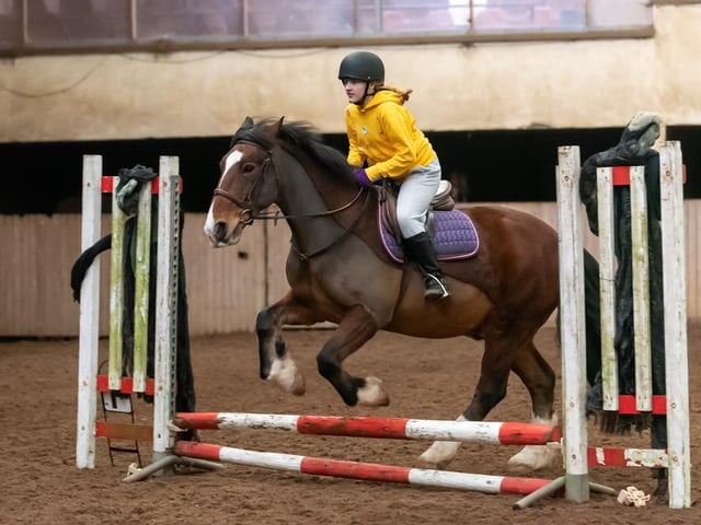 Class 6 winners Takara Ferguson and Ben. (Pic: Equi-Tog)